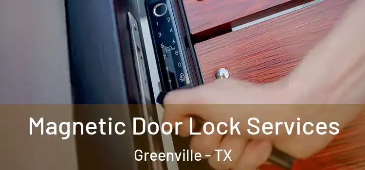 Magnetic Door Lock Services Greenville - TX